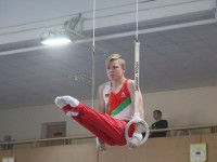 В Гродно отобраны кандидаты на участие в первенстве Европы по спортивной гимнастике
