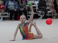 Открытое первенство по художественной гимнастике в программе Олимпийских дней молодежи Гродненской области прошло в Гродно