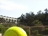 В открытом первенстве Гродненской области по теннису участвовали 45 спортсменов