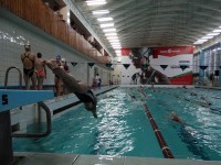 В Гродно прошли республиканские соревнования по плаванию «Веселый дельфин»