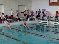 В чемпионате Гродненской области по плаванию приняли участие мужчины, женщины, юниоры и юниорки