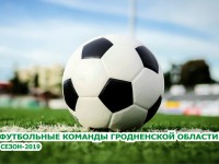 В 2019 году Гродненскую область на чемпионатах Республики Беларусь по футболу представляли 6 клубов.