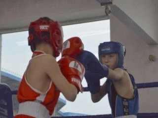 Двойной турнир по боксу в Гродно: результаты и имена чемпионов