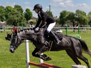 Барьеры высотой до 130 см: как прошел Открытый Чемпионат Гродненской области по преодолению препятствий