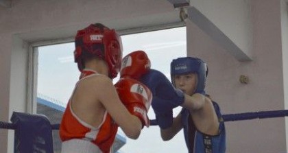 Двойной турнир по боксу в Гродно: результаты и имена чемпионов